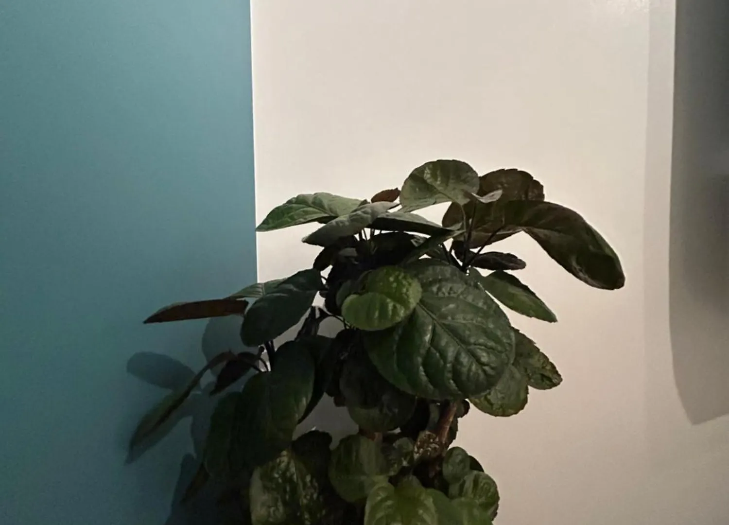 Woodhouse Apartment Λιντς 0*,  Ηνωμένο Βασίλειο