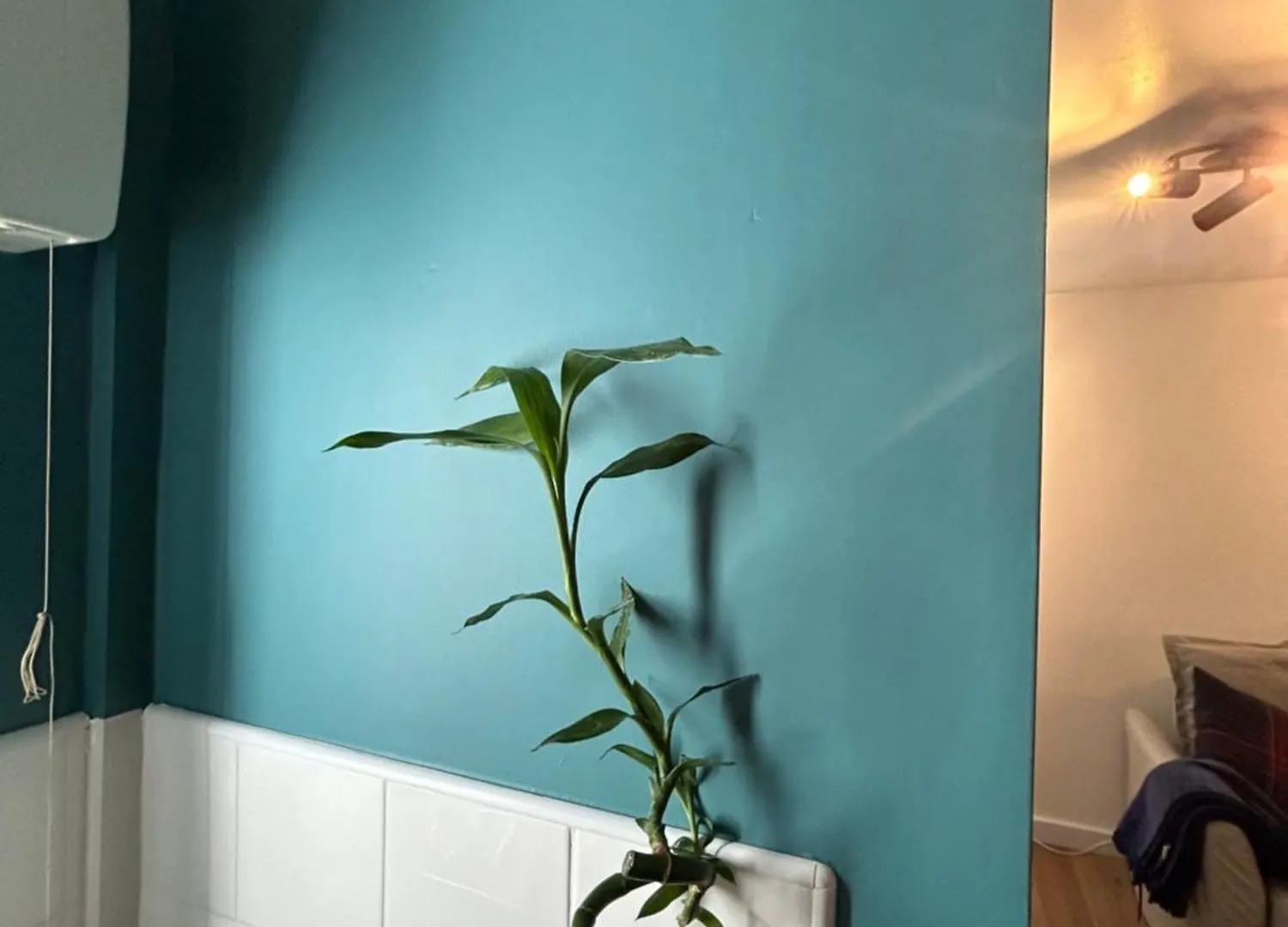 Woodhouse Apartment Λιντς